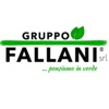 Gruppo Fallani