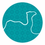 Turkistan TV