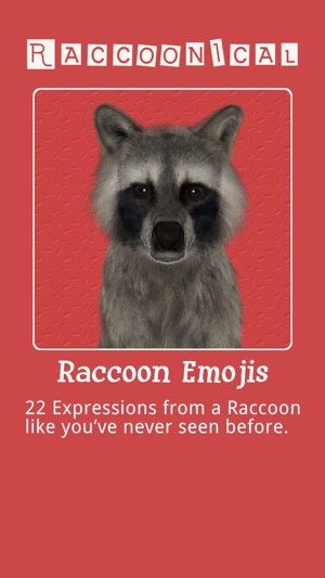 Raccoonical