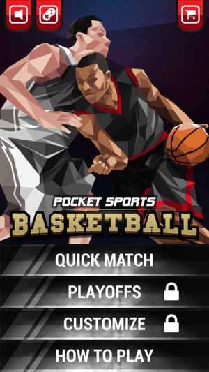 Pocket Sports Basketball