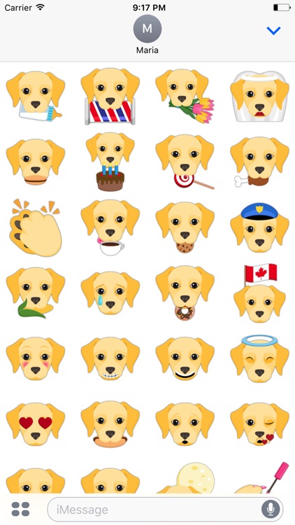 Yellow Labrador Retriever Stickers