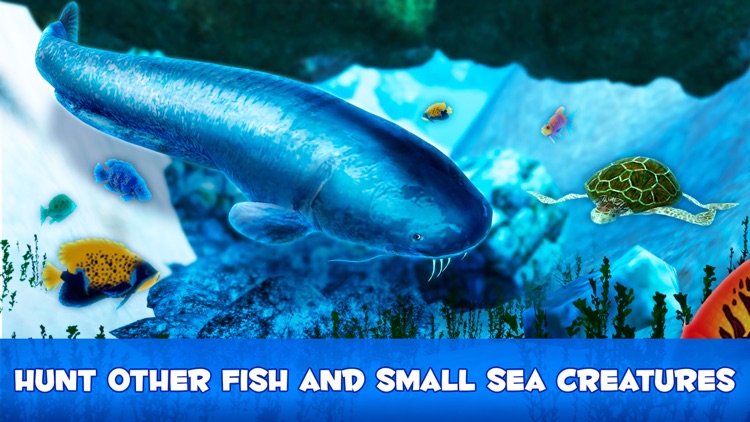 Catfish Underwater Life: Fish Simulator 3D