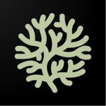 Lishash Friends meet music