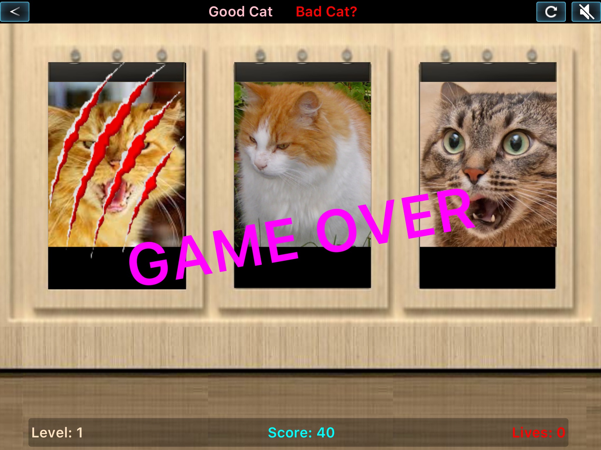 Good Cat Bad Cat screenshot 2