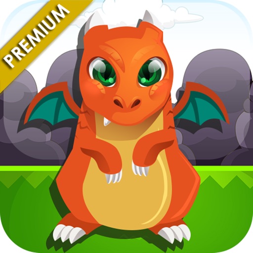 Baby Dragon Dash Premium