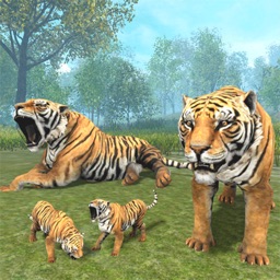 Wild Tiger Adventure 3D - Siberian Jungle Beast Animals Hunting Attack  Simulator by Muhammad Salman