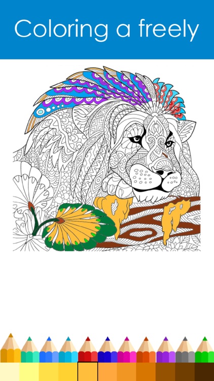 Animal Colorful - Coloring Book for Adults