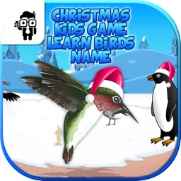 Christmas Kids Game Learn Birds Name