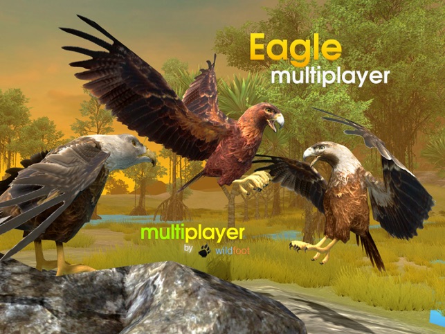 Eagle Multiplayer