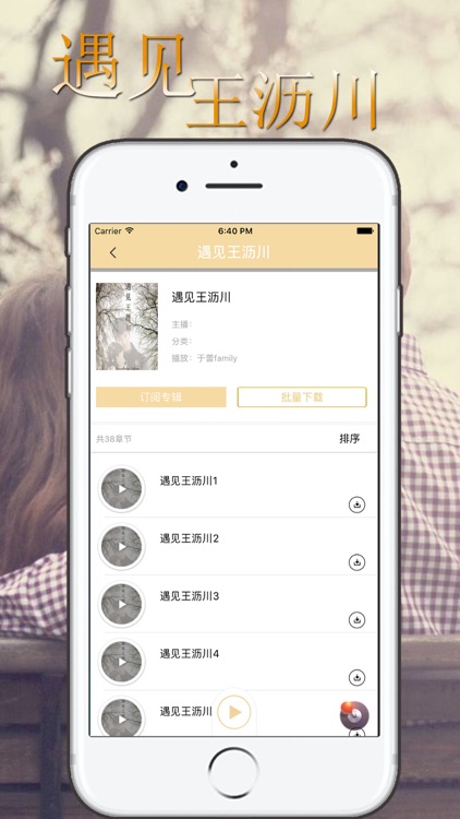 遇见王沥川 （沥川往事） 有声小说 - 施定柔著