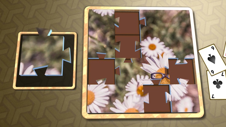 Jigsaw Solitaire Great Outdoors screenshot-4