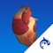 Heart Decide is a powerful educational tool