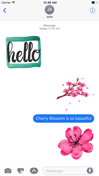 Watercolor Cherry Blossom Sticker Pack screenshot-4