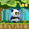 Cute and Fun Panda Adventures Runner
