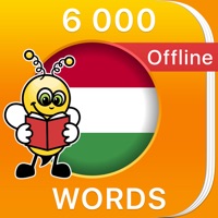 6000 Words