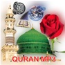 Get Quran Offline | Mallam Jaafar for iOS, iPhone, iPad Aso Report