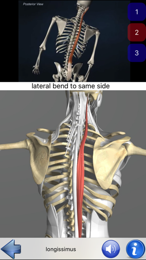 Visual Anatomy(圖2)-速報App