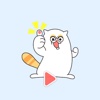 Mango the Cat - Animated GIF Stickers