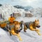 Sled Dog Simulator: Winter Extreme Cargo Transport
