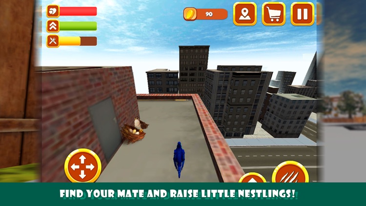 City Falcon Simulator 3d: Bird Wild Life