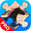 Horses jigsaw puzzles for adults. Premium