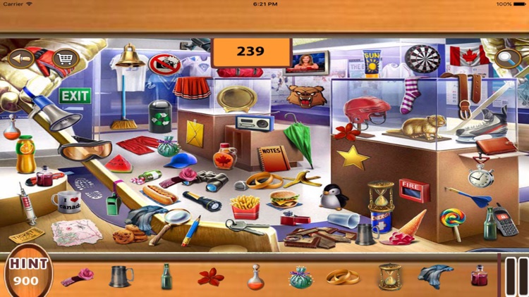 Hidden Objects : Photo Party