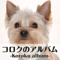 コロクのアルバム（犬の写真集）
