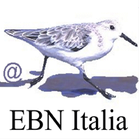 Ubird di EBN Italia