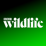 BBC Wildlife Magazine