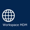 Workspace MDM Browser