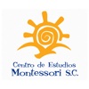 Centro de Estudios Montessori