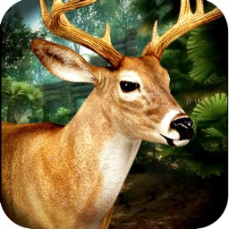 3D Wild Animal Ultimate Hunting