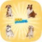 Icon World Popular Dog Breeds Name Preschool Learning