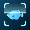 Fish Identifier & Verify App