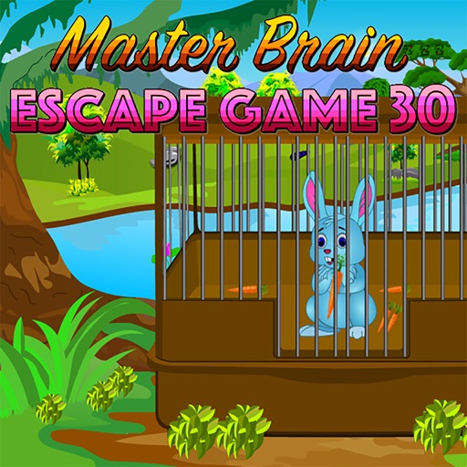 Master Brain Escape Game 30 icon