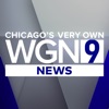 Icon WGN News - Chicago