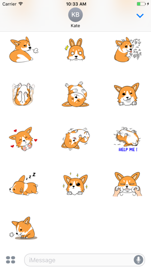 Corgi Life Sticker(圖4)-速報App