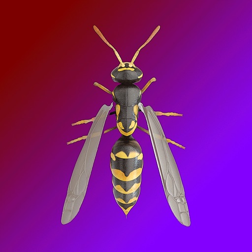 Wasp ™ iOS App