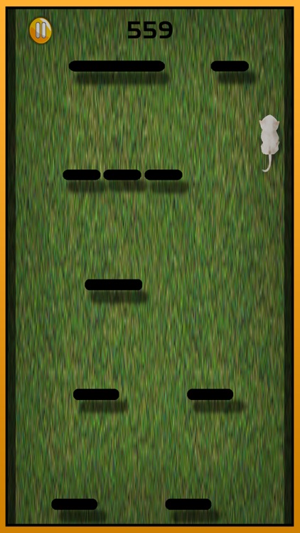 Lost Cat running game for kids – Angela Pet Kitten