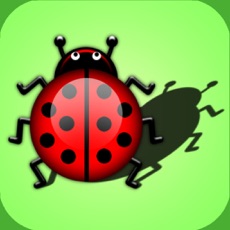 Activities of Puzzles shadow. Little bugs. Educational game