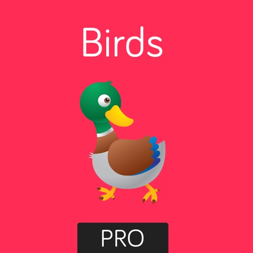 Birds: Flashcards app for babies & preschool iOS App