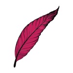 TranscribeLive Speech to Text