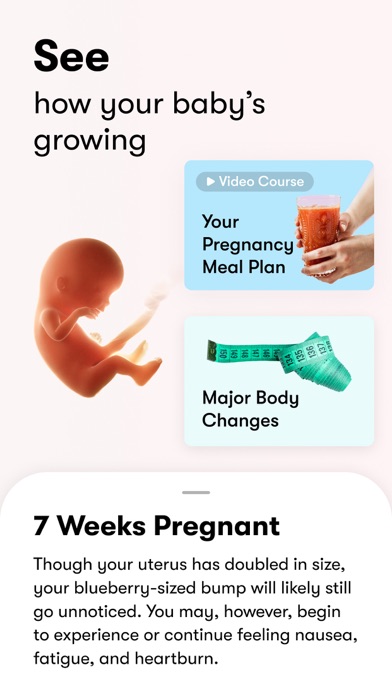 Flo - Menstruatie Kalender iPhone app afbeelding 7