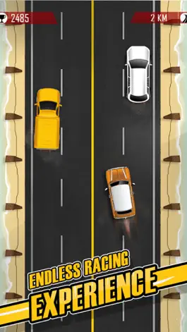 Game screenshot High speed car racing 2016 apk