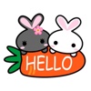 Lovely Bunny Couple Stickers