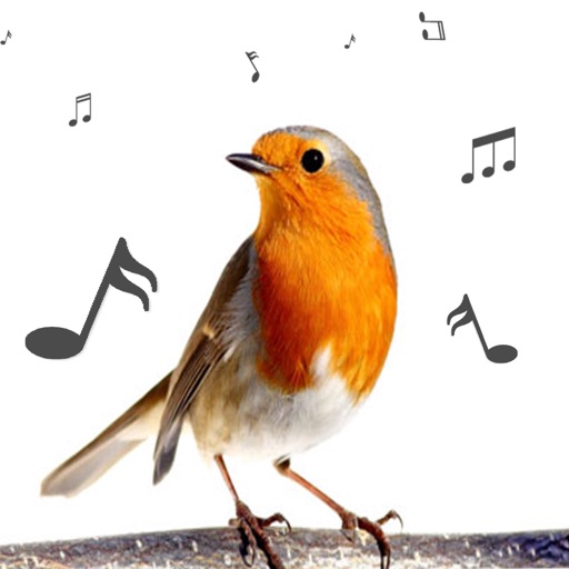 Bird Calls and Sounds Ringtones Free