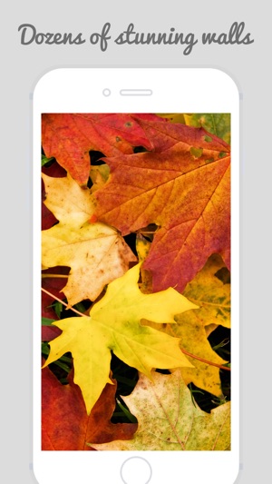 Autumn Wallpapers - Beautiful Home and Lock Wallz(圖2)-速報App