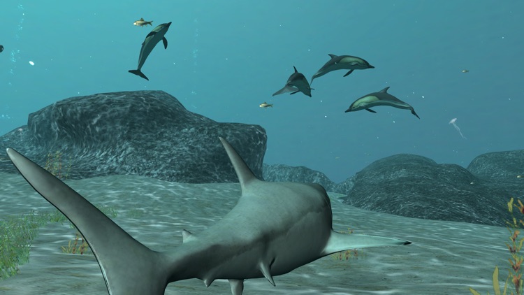 VR Shark Simulator