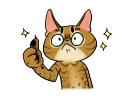 Have fun chatting with this sticker pack
