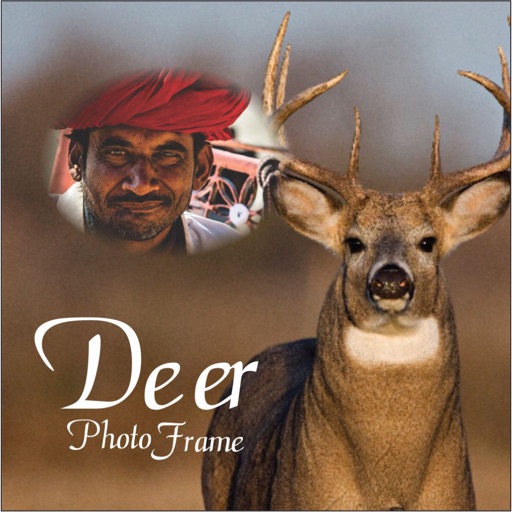 Deer Photo Frames Free Wallpaper Photoshop Effects